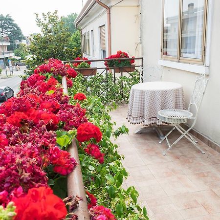B&B Pereuka Rovigo Eksteriør billede